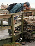 bettys bay IMG_1870.jpg